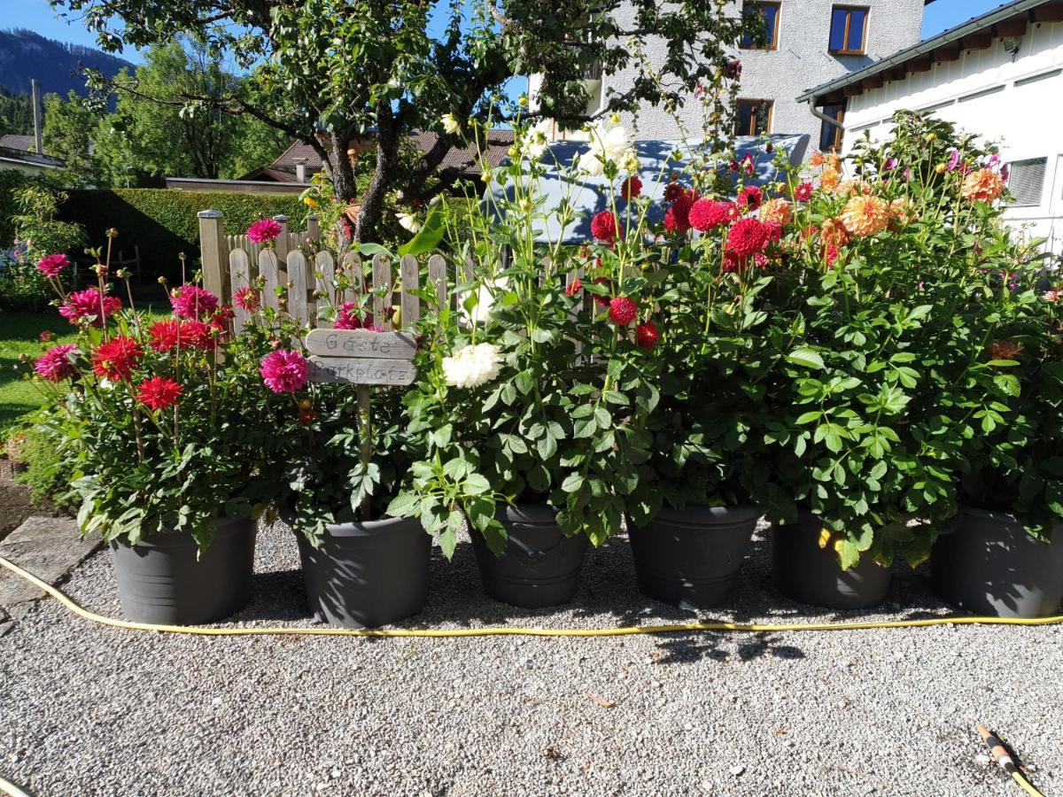 Anita'S Ferienwohnung Nahe Neuschwanstein Reutte Zewnętrze zdjęcie